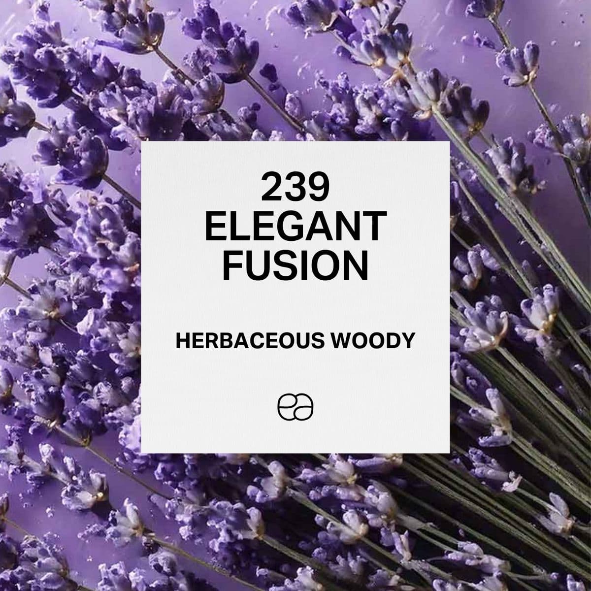 239 Elegant Fusion - 1