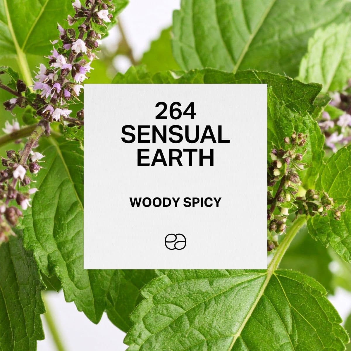 264 Sensual Earth - 1