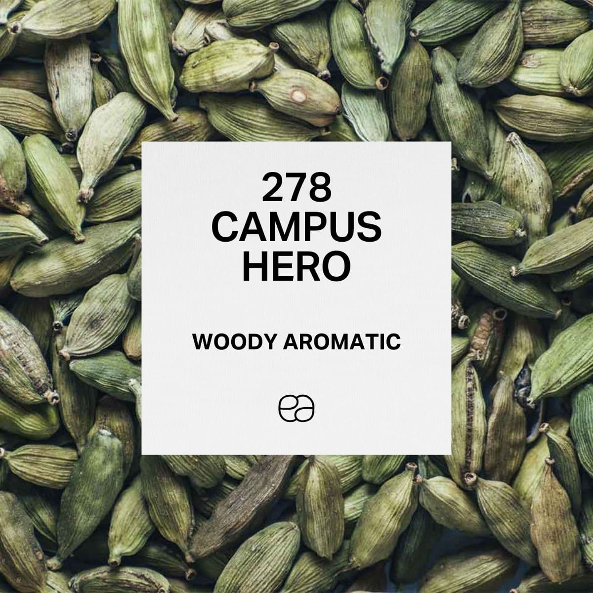 278 Campus Hero - 1