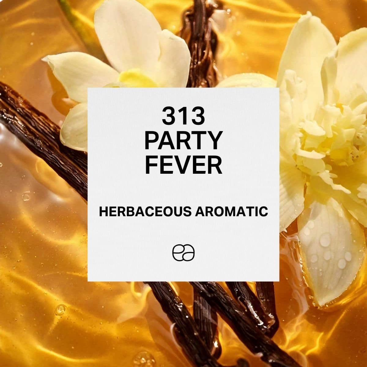 313 Party Fever - 1