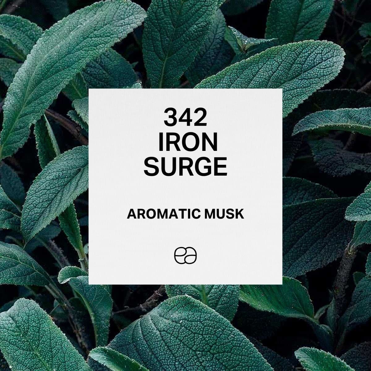 342 Iron Surge - 1