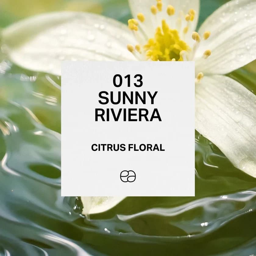 013 Sunny Riviera - 1