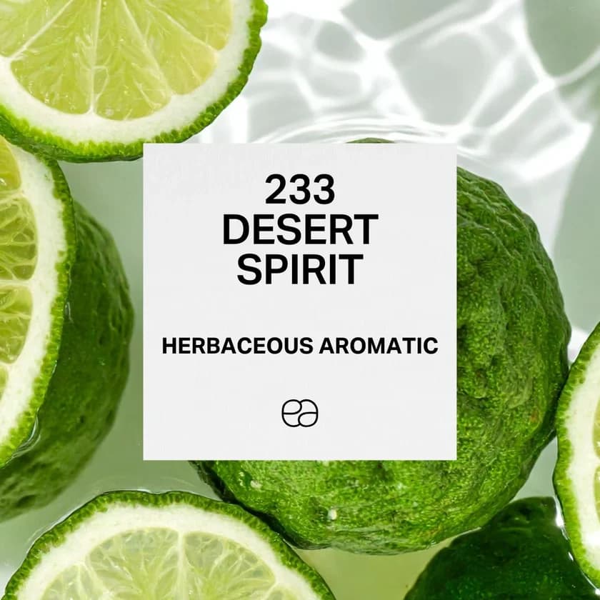 233 Desert Spirit - 1